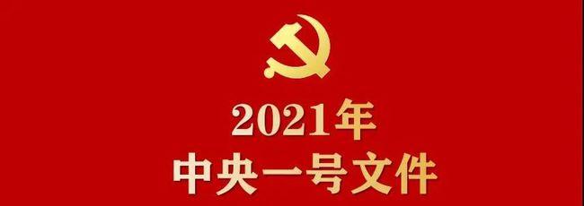 2021年中央一號文件公布 提出全面推進鄉(xiāng)村振興